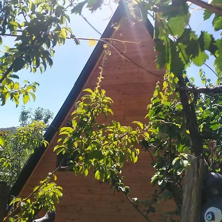 Mutaf Alpstuga Kumluca